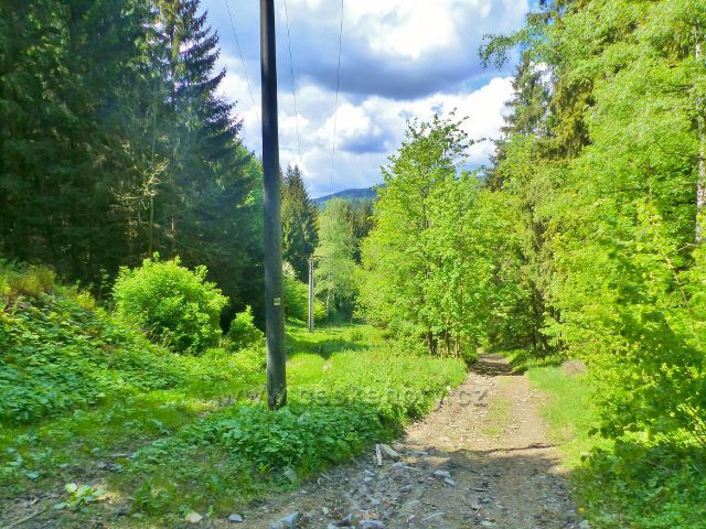 Malé Vrbno - cesta po žluté TZ do sedla Kutný vrch má značné stoupání, což dokazuje zpětný pohled do údolí