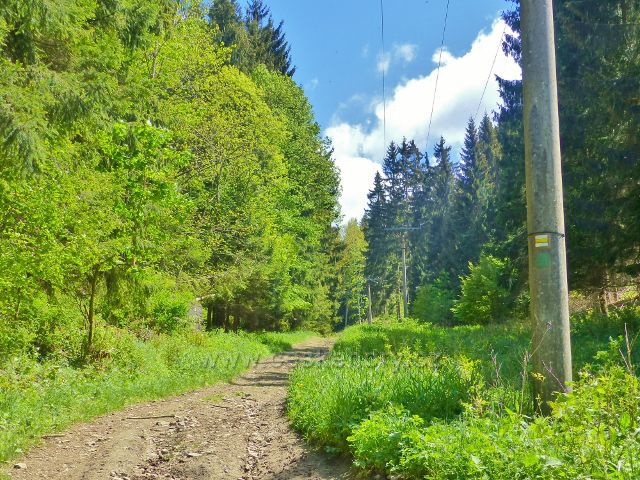 Malé Vrbno - na cestě pod sedlem Kutný vrch