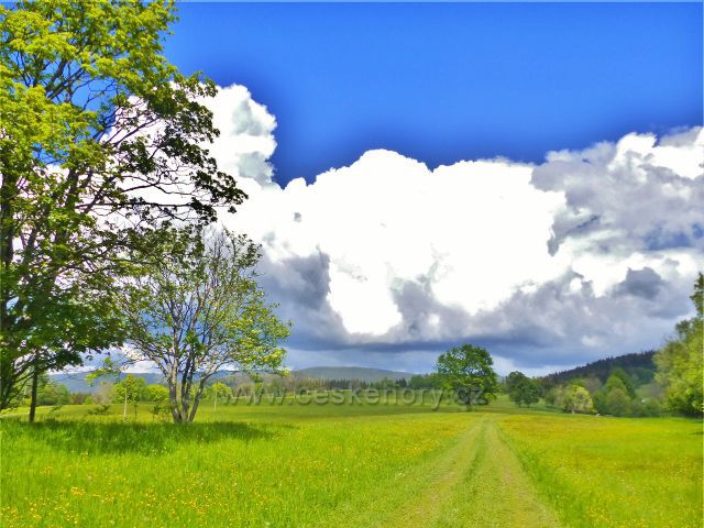 Cesta ze sedla Kutný vrch do Kronfelzova