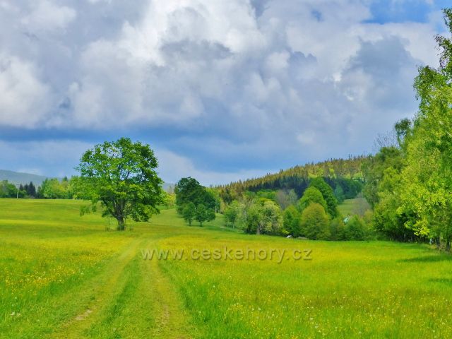 Pohled ke Kronfelzovu ze sedla Kutný vrch