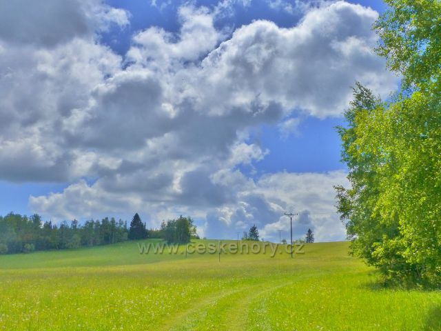 Pohled k vrcholu Kutného vrchu (798 m.n.m.)