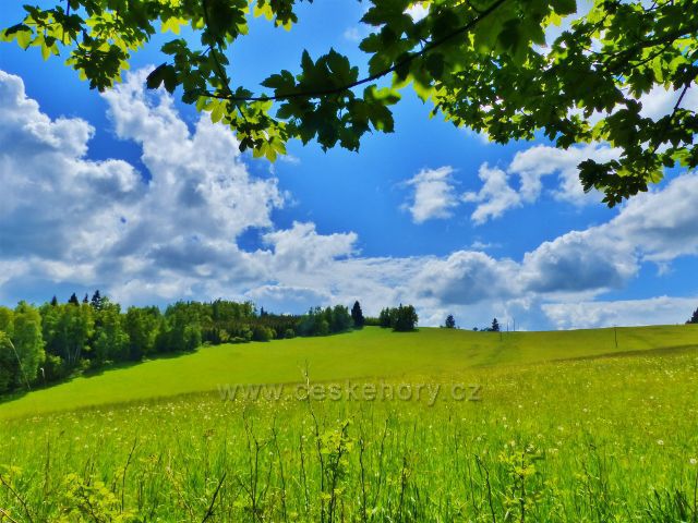 Kutný vrch 798 m.n.m.