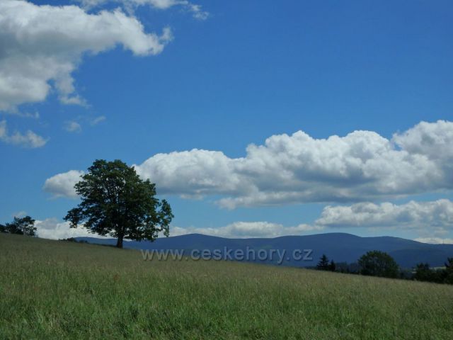 cesta na Paprsek, v pozadí Jeseníky
