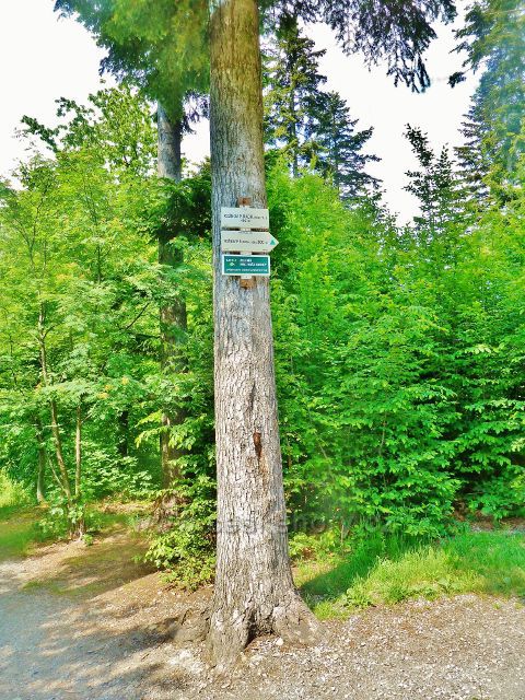 Rožnov pod Radhoštěm - turistický rozcestník"Rožnov p.Radh.(rozhl.) 480 m.n.m."