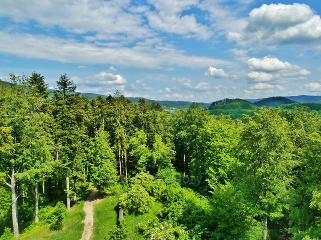 Rožnov pod Radhoštěm - pohled z Jurkovičovy rozhledny