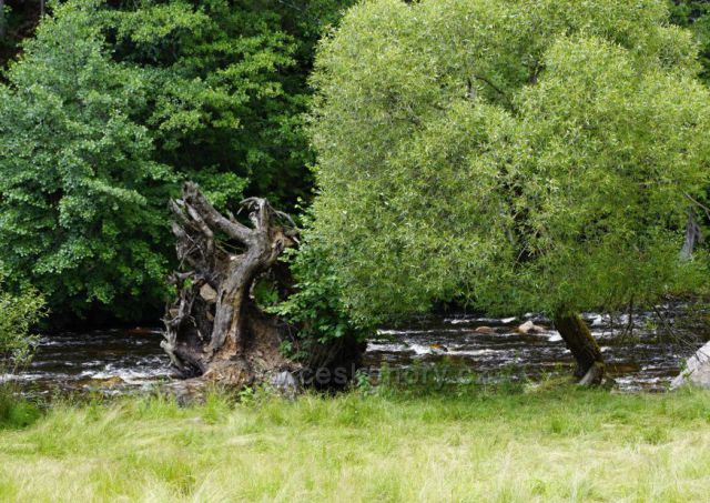 Otava u Rendštějna