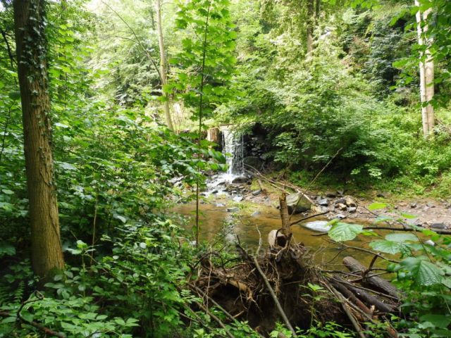 Okolí Borové, Vysočina