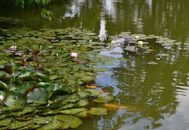 Arboretum Nový Dvůr