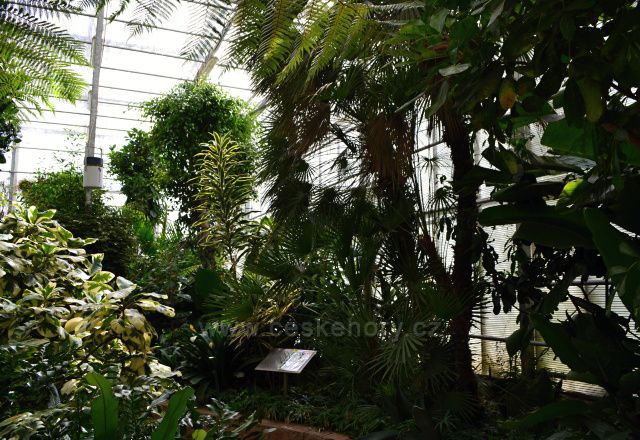 Arboretum Nový Dvůr