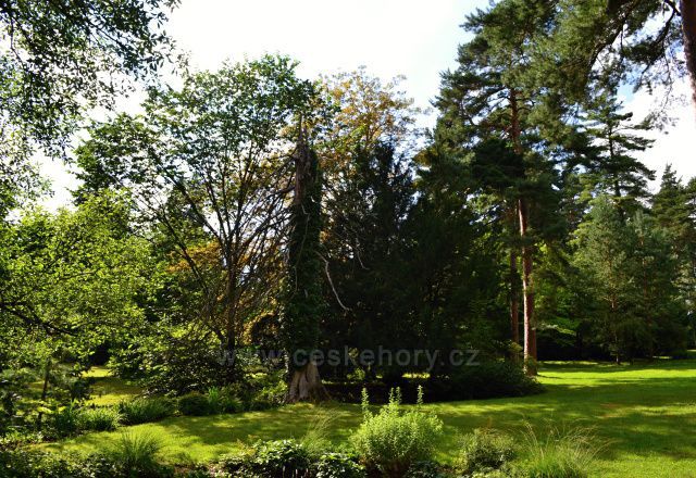Arboretum Nový Dvůr u Opavy