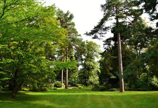 Arboretum Nový Dvůr u Opavy