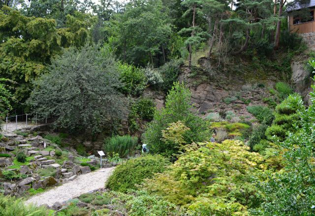 Arboretum Nový Dvůr u Opavy-Alpinium