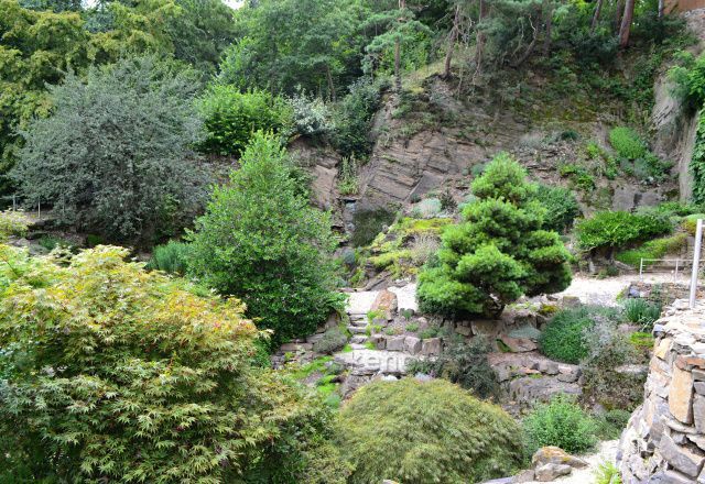 Arboretum Nový Dvůr u Opavy-Alpinium