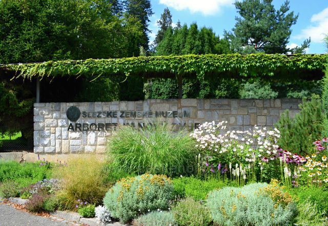 Arboretum Nový Dvůr alpinky