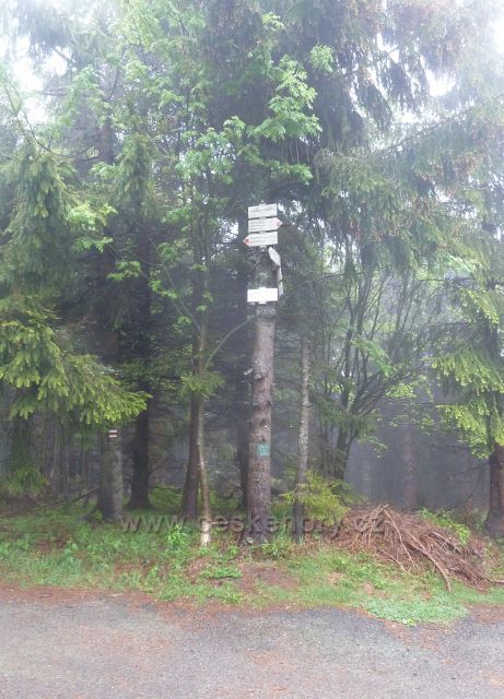 Turistický rozcestník "Tanečnice(sedlo) 1005 m.n.m."
