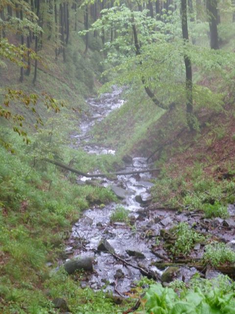 Bystrý potok pod vodopádem má značný spád