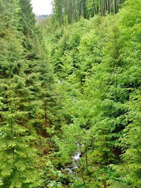 Kaňon Bystrého púotoka