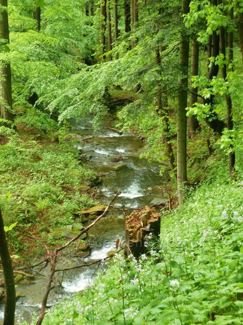 Bystrý potok má stále značný spád