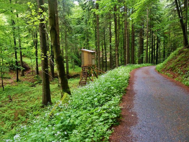 Posed mezi silničkou a Bystrým potokem na trase po zelené TZ