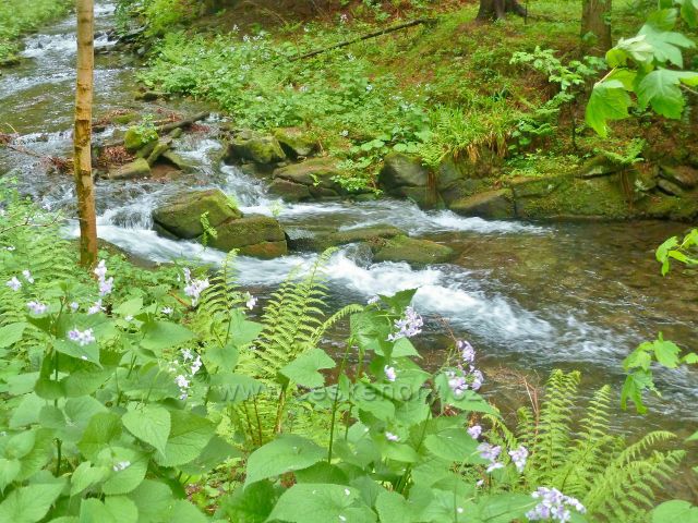 Proměny Bystrého potoku