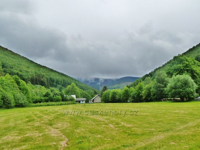 Údolí Bystrého potoka - vpravo je úbočí Nořičí hory (1047 m.n.m.) vlevo pak úbočí Velké Stolové (1049 m.n.m.)