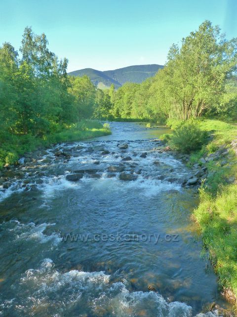 Ostravice - řeka Ostravice pod Bartákovým jezem