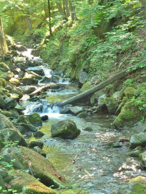 Ostravice - horský potok Mazák