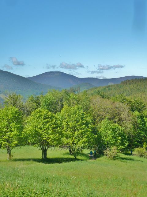 Butořanka, v pozadí pásmo Smrku