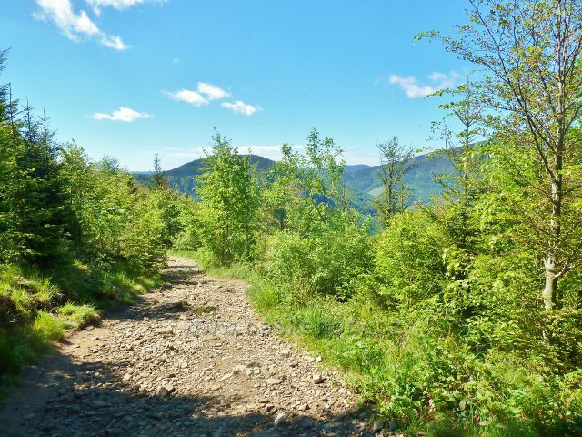 Cesta po červené TZ k rozcestí Lukašinec