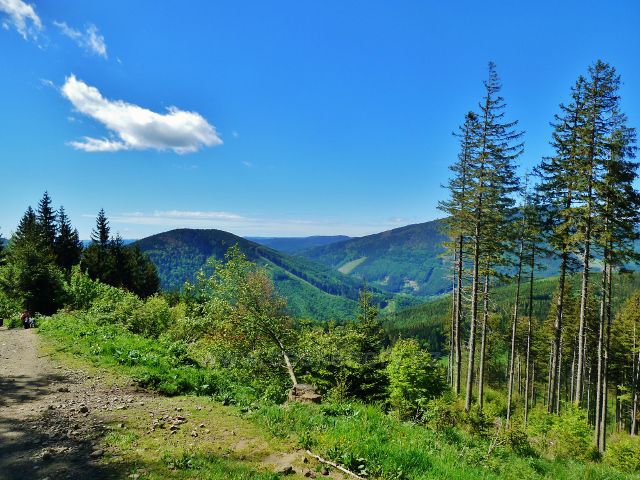 Výhledové místo na cestě po červené TZ k rozcestí Lukšinec