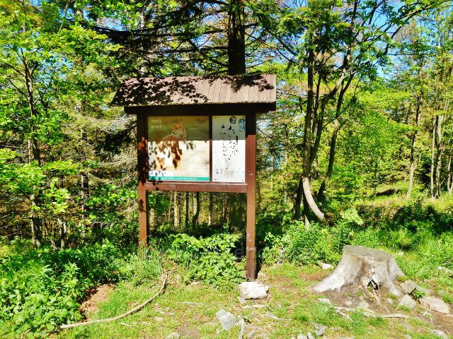 Panel "Lysohorský bestiář"nad rozcestím Lukšinec