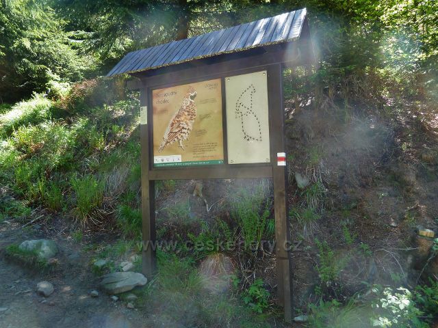 Panel "Lysohorský bestiář" na trase NS Lysá hora