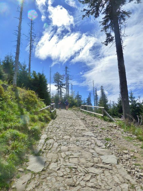 Dlážděná cesta po červené TZ pod vrcholem Lysé hory