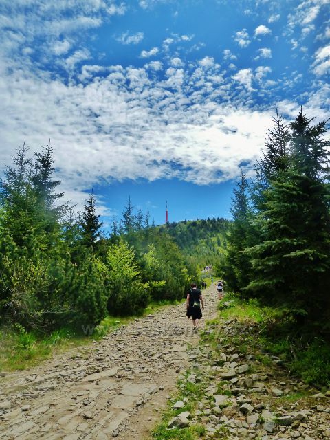 Na dohled vrcholu Lysé hory