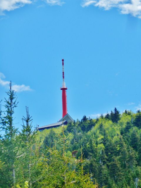 Pohled k vrcholu Lysé hory