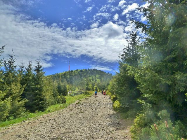 Relativní "rovinka" pod vrcholem Lysé hory