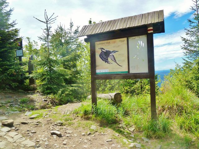 Panel Lysohorský bestiář na NS Lysá hora