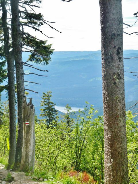 Průhled z NS Lysá hora k  přehradě Šance
