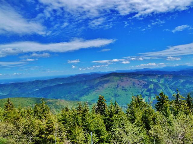 Pohled z vrcholu Lysé hory