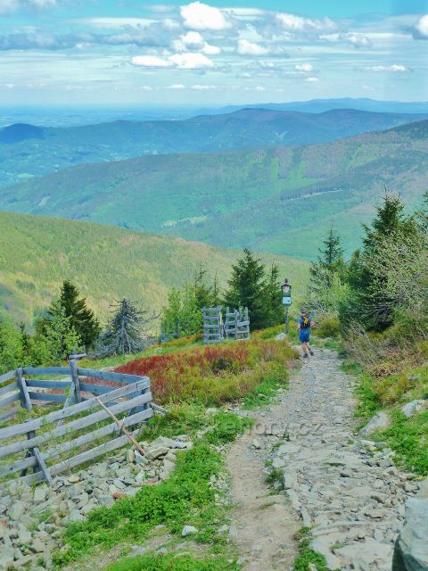 Pohled z výhledového místa na Lysé hoře na cestu po žluté TZ traverzem od Malchoru