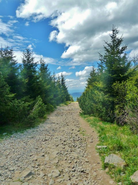 Sestupová cesta po červené TZ k rozcestí Lukšinec