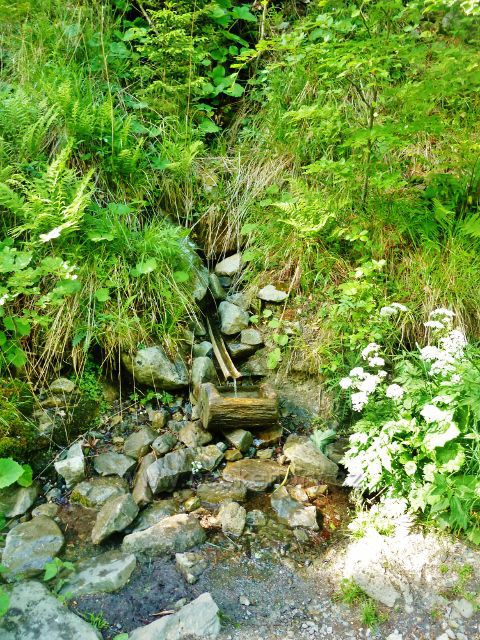 Studánka Nad Opičárnou