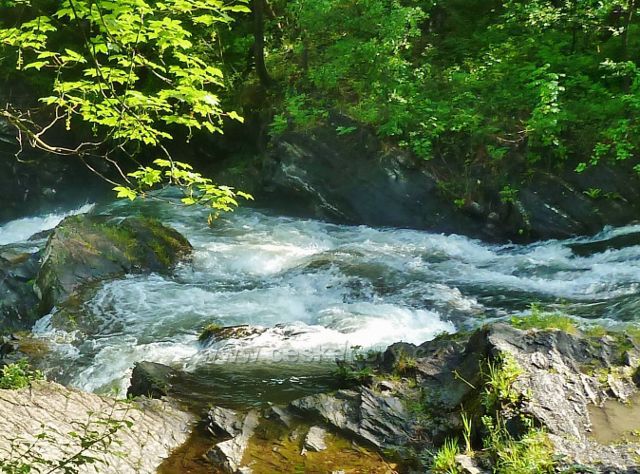 Peřeje na řece Ostravici