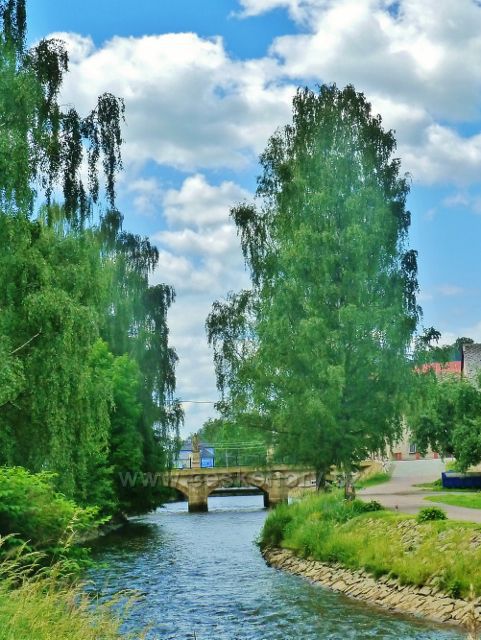 Jablonné nad Orlicí - Tichá Orlice před silničním mostem