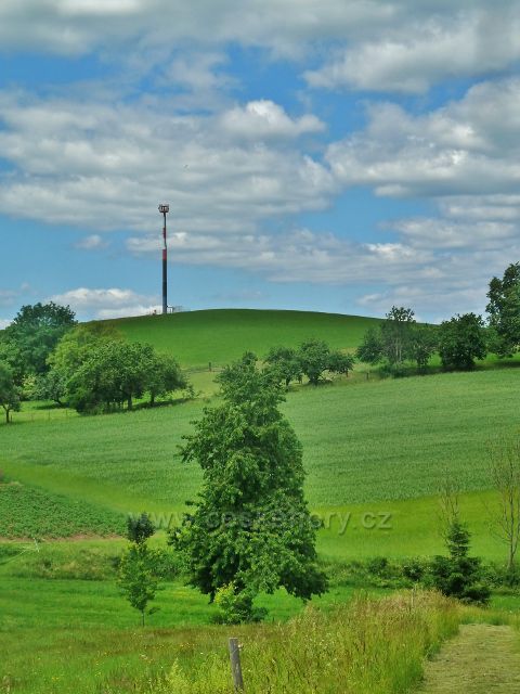 Pohled z úbočí Malovo kopce na Židův kopec (574 m.n.m.)
