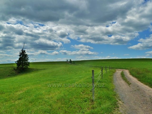 Mistrovice - cesta po úbočí Blažkovského kopce k pomníku "Neznámého lyžaře"