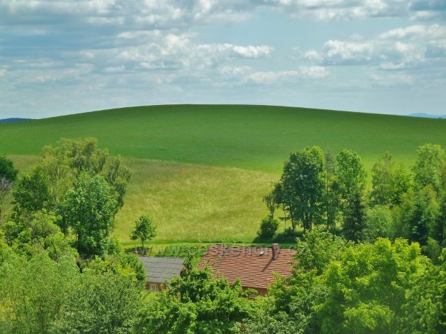 Mistrovice - pohled z úbočí Židovo kopce na protilehlý vrchol Blažkovského kopce(550 m.n.m.)