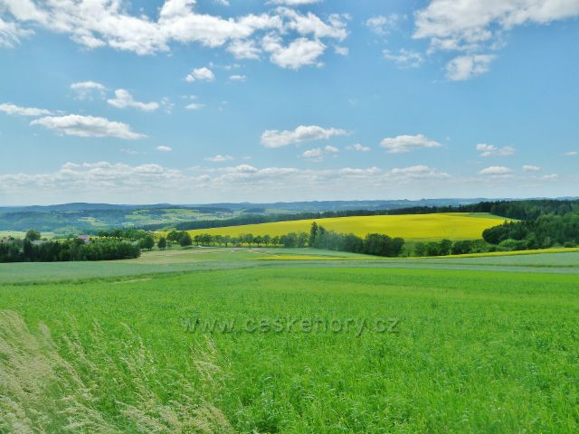 Mistrovice - pohled z úbočí Židovo kopce k osadě Ovčín nad Kunčicema u Letohradu