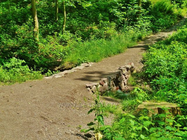 Rokytnice v Orlických horách - upravená stezka s mostkem v lesoparku