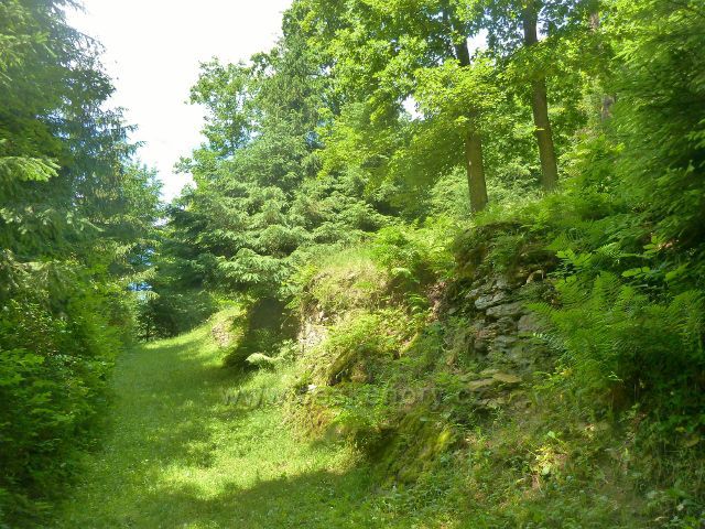 Rokytnice v Orlických horách - cesta k židovskému hřbitovu